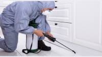 Residential Pest Control