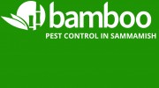 Sammamish Pest Control by Bamboo