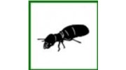 Termite Control Services