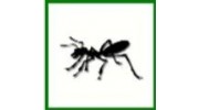 Pest Control Services