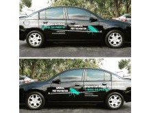 pest control palm coast