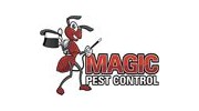 Do It Yourself Scorpion Control Home Sealing, Phoenix AZ